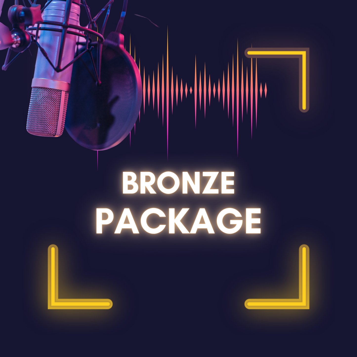 Podcasting 101:  Beginner's Starter Kit -  BRONZE Package